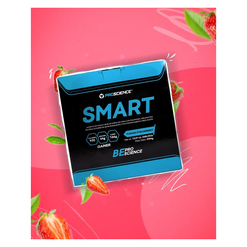 copy of SMART GAINER 13 LBS